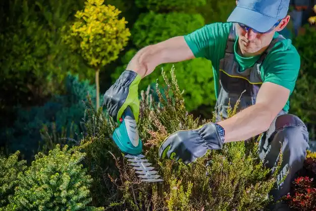landscaping services Richburg